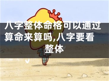 八字整体命格可以通过算命来算吗,八字要看整体