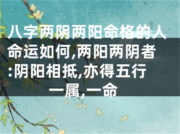 八字两阴两阳命格的人命运如何,两阳两阴者:阴阳相抵,亦得五行一属,一命