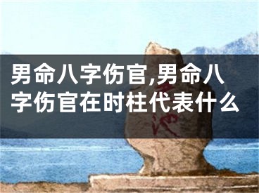 男命八字伤官,男命八字伤官在时柱代表什么