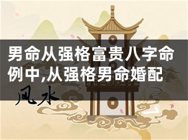 男命从强格富贵八字命例中,从强格男命婚配