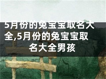 5月份的兔宝宝取名大全,5月份的兔宝宝取名大全男孩