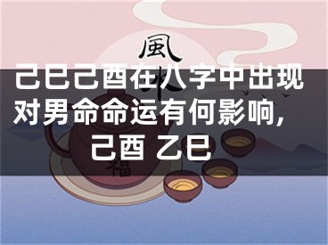 己巳己酉在八字中出现对男命命运有何影响,己酉 乙巳