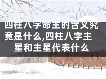 四柱八字命主的含义究竟是什么,四柱八字主星和主星代表什么