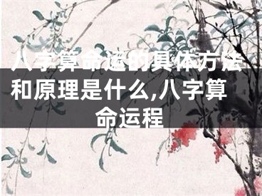 八字算命运的具体方法和原理是什么,八字算命运程