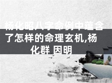 杨化昭八字命例中蕴含了怎样的命理玄机,杨化群 因明