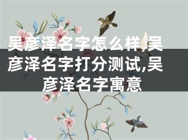 吴彦泽名字怎么样,吴彦泽名字打分测试,吴彦泽名字寓意