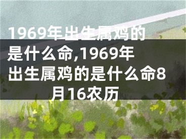 1969年出生属鸡的是什么命,1969年出生属鸡的是什么命8月16农历