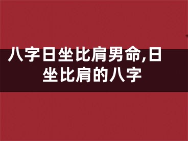八字日坐比肩男命,日坐比肩的八字