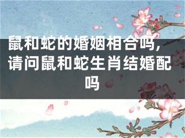 鼠和蛇的婚姻相合吗,请问鼠和蛇生肖结婚配吗