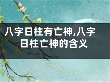 八字日柱有亡神,八字日柱亡神的含义