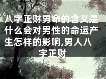 八字正财男命的含义是什么会对男性的命运产生怎样的影响,男人八字正财