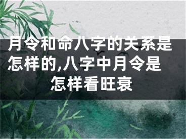 月令和命八字的关系是怎样的,八字中月令是怎样看旺衰