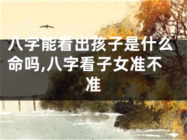 八字能看出孩子是什么命吗,八字看子女准不准