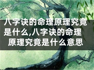 八字诀的命理原理究竟是什么,八字诀的命理原理究竟是什么意思