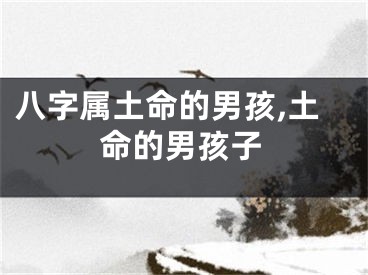 八字属土命的男孩,土命的男孩子