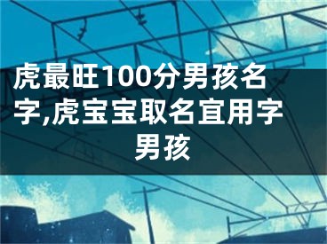 虎最旺100分男孩名字,虎宝宝取名宜用字男孩