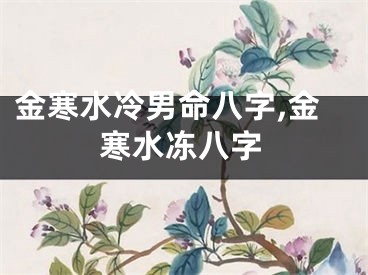 金寒水冷男命八字,金寒水冻八字