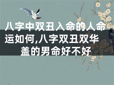八字中双丑入命的人命运如何,八字双丑双华盖的男命好不好