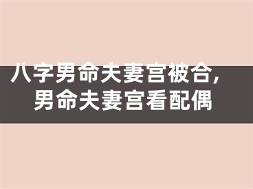 八字男命夫妻宫被合,男命夫妻宫看配偶