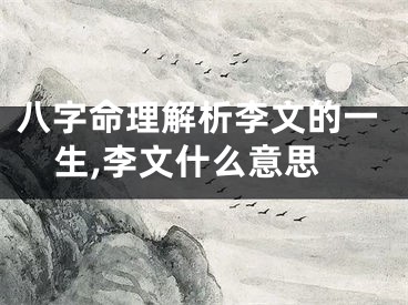 八字命理解析李文的一生,李文什么意思