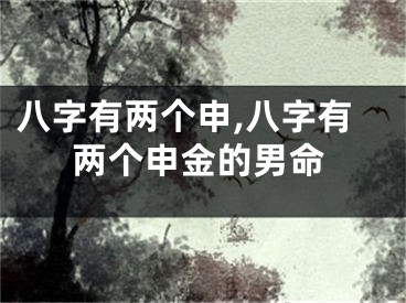 八字有两个申,八字有两个申金的男命