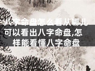 八字命盘怎么看从哪儿可以看出八字命盘,怎样能看懂八字命盘