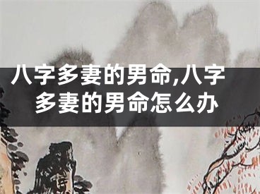 八字多妻的男命,八字多妻的男命怎么办