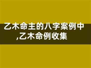 乙木命主的八字案例中,乙木命例收集