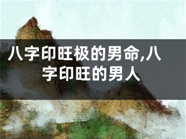 八字印旺极的男命,八字印旺的男人