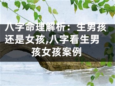 八字命理解析:生男孩还是女孩,八字看生男孩女孩案例