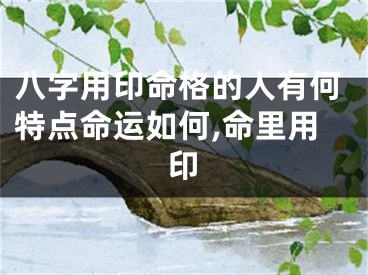 八字用印命格的人有何特点命运如何,命里用印