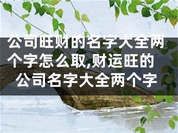 公司旺财的名字大全两个字怎么取,财运旺的公司名字大全两个字