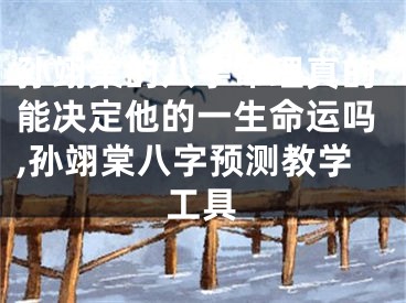 孙翊棠的八字命理真的能决定他的一生命运吗,孙翊棠八字预测教学工具