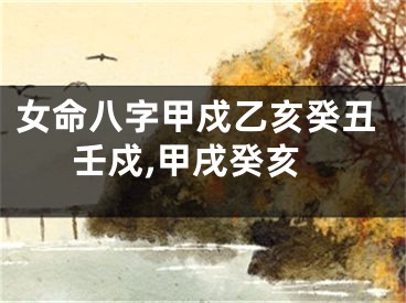 女命八字甲戍乙亥癸丑壬戍,甲戌癸亥