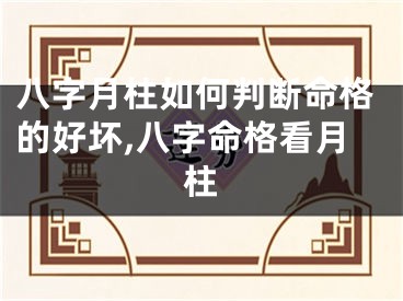 八字月柱如何判断命格的好坏,八字命格看月柱
