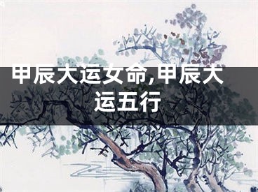 甲辰大运女命,甲辰大运五行