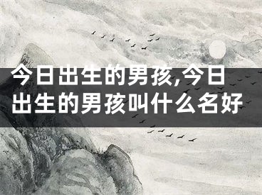 今日出生的男孩,今日出生的男孩叫什么名好