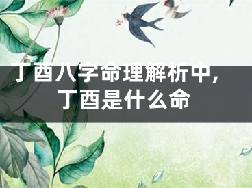 丁酉八字命理解析中,丁酉是什么命