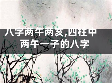 八字两午两亥,四柱中两午一子的八字