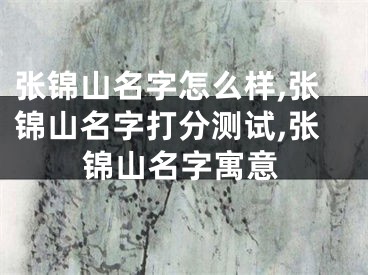 张锦山名字怎么样,张锦山名字打分测试,张锦山名字寓意