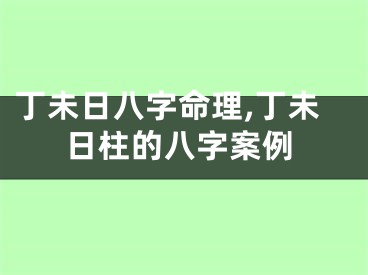 丁未日八字命理,丁未日柱的八字案例