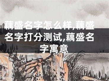藕盛名字怎么样,藕盛名字打分测试,藕盛名字寓意