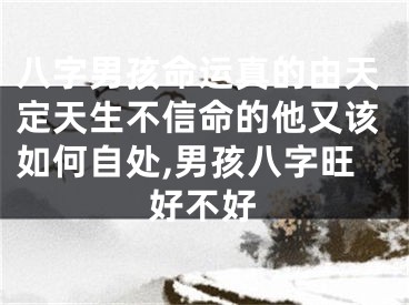 八字男孩命运真的由天定天生不信命的他又该如何自处,男孩八字旺好不好