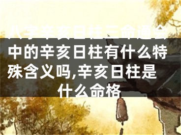八字辛亥日柱三命通会中的辛亥日柱有什么特殊含义吗,辛亥日柱是什么命格