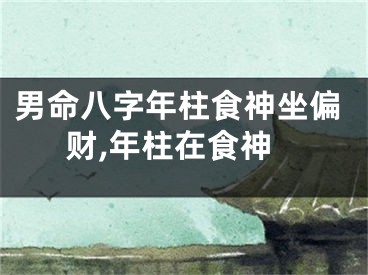 男命八字年柱食神坐偏财,年柱在食神