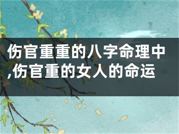 伤官重重的八字命理中,伤官重的女人的命运
