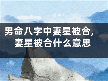 男命八字中妻星被合,妻星被合什么意思