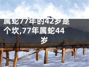 属蛇77年的42岁是个坎,77年属蛇44岁