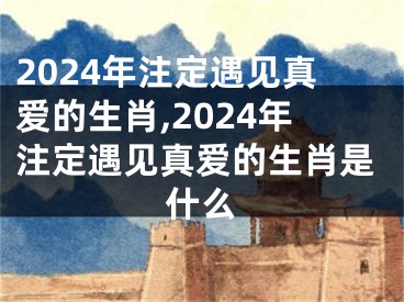 2024年注定遇见真爱的生肖,2024年注定遇见真爱的生肖是什么