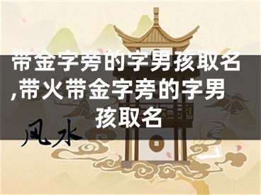 带金字旁的字男孩取名,带火带金字旁的字男孩取名